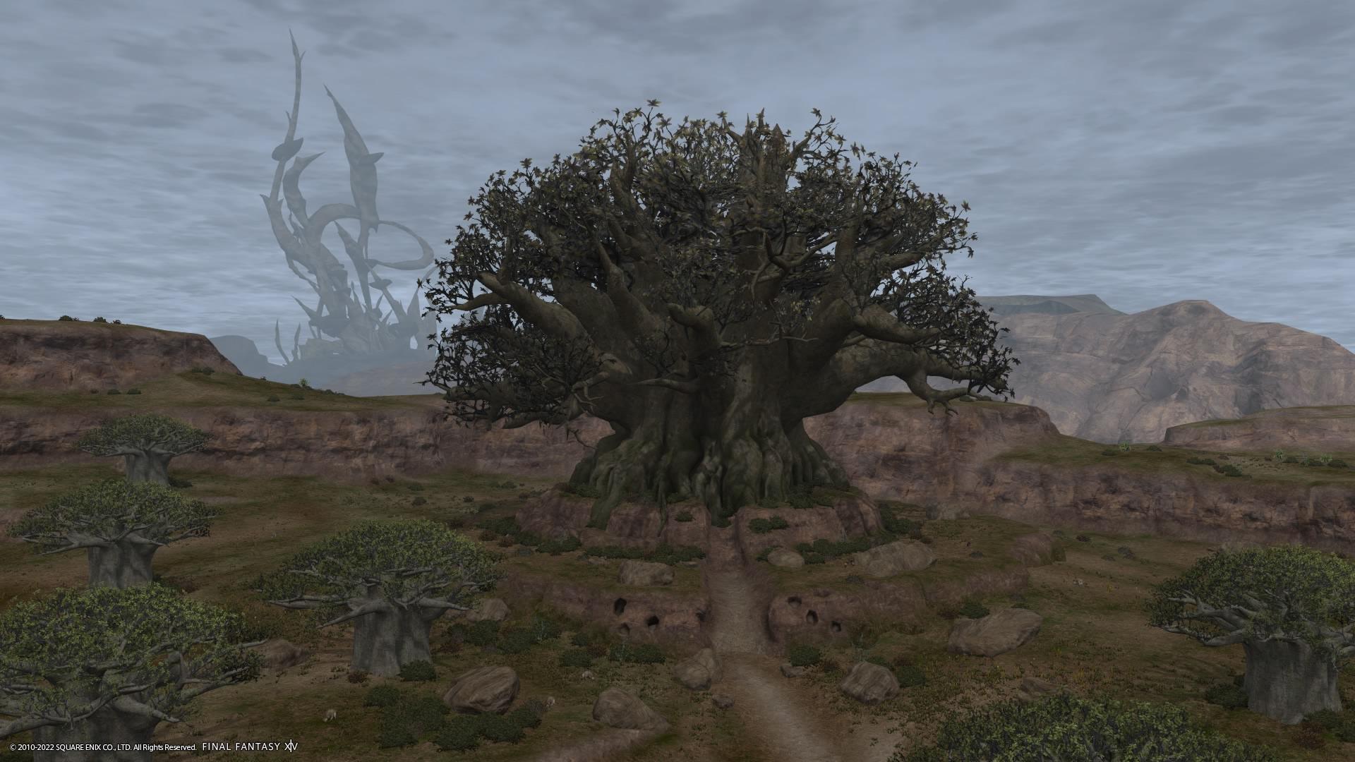 FF14 ササガン大王樹